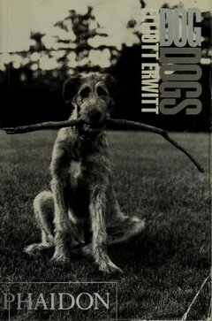 Cover of Dog Dogs