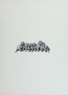 Cover of William Wegman Puppies