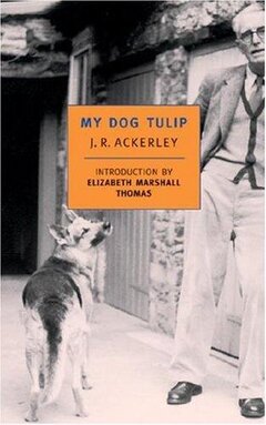 Cover of My Dog