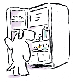 dog-fridge