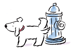 dog-hydrant