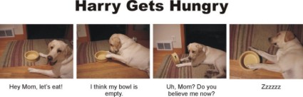 hungry