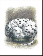 puppysm